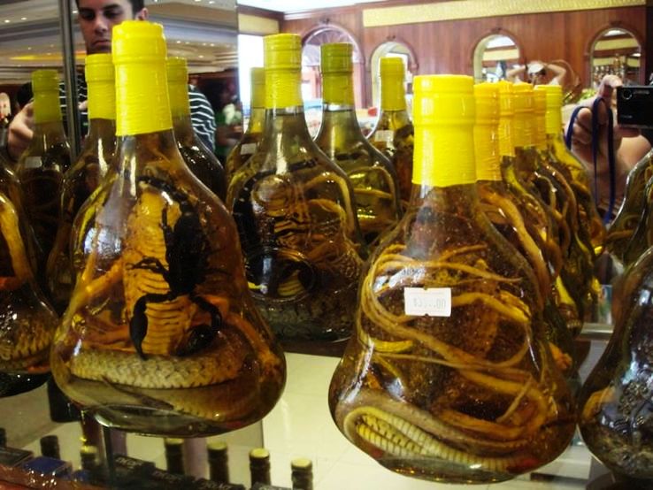 Lizard wine